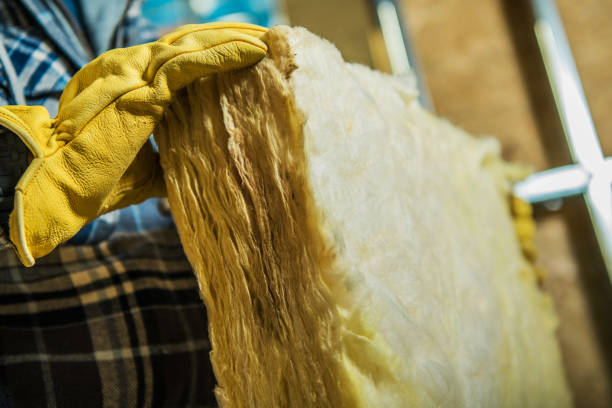 Best Commercial Insulation in Little Walnut Village, NM
