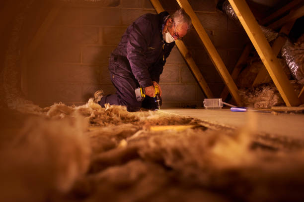 Best Insulation Installation Services in Little Walnut Village, NM